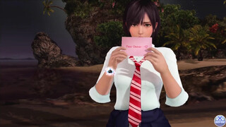 Dead or Alive Xtreme Venus Vacation Nagisa Valentine's Day Pose Cards Fanservice Appreciation